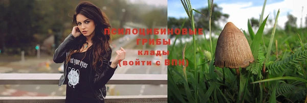 герыч Михайлов