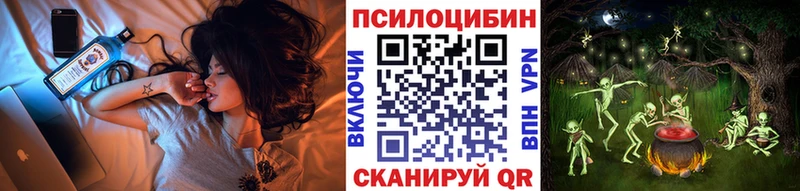 даркнет наркотические препараты Голицыно Псилоцибиновые грибы Psilocybe наркотики